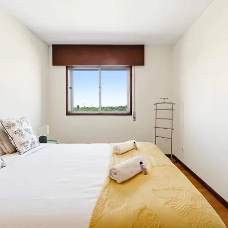 Apartment Seixo's House